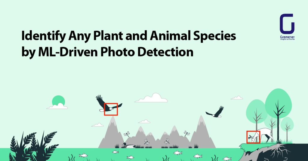 Identifying plant and animal species