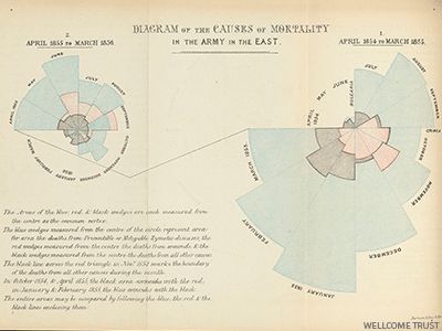 florence nightingale | data storytelling | gramener