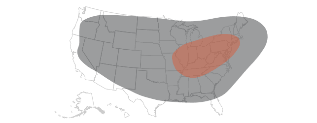 Heat map data visualization