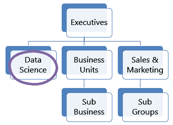 structure of a data science team in business