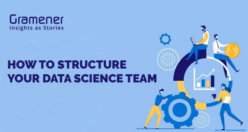 how to structure a data science team