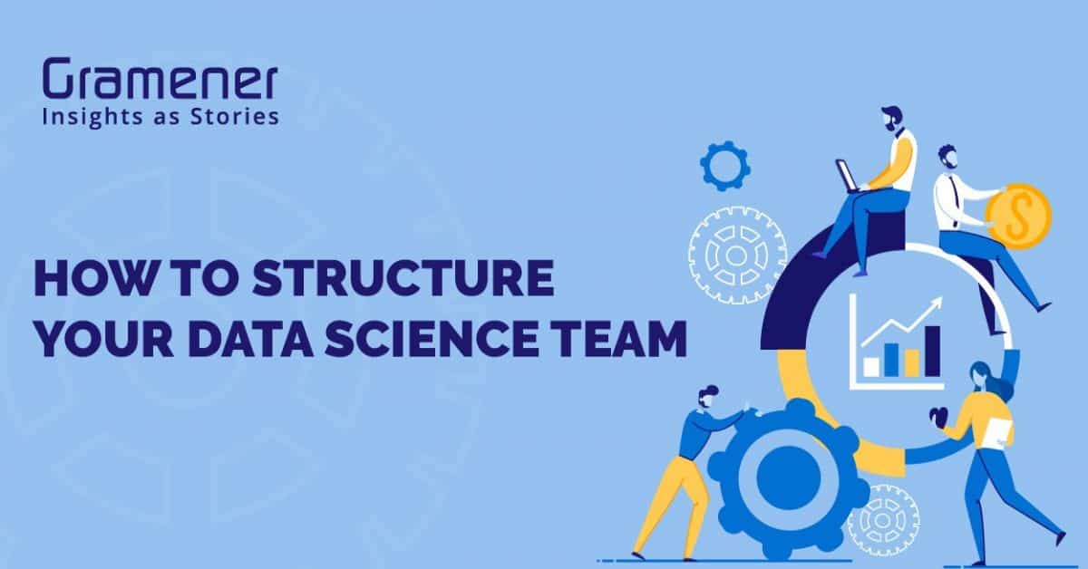 how to structure a data science team