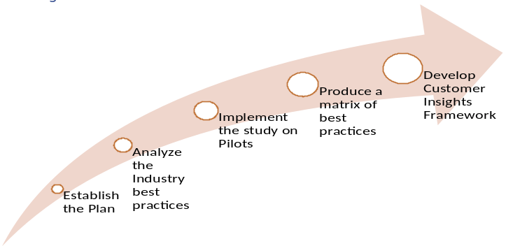 how to using customer insights in business